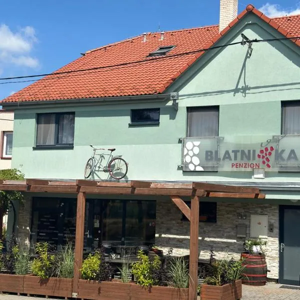 Penzion Blatnička, hotel di Blatnička