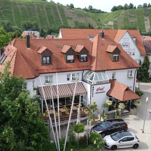 Hotel Ortel GmbH, hotel v destinaci Besigheim