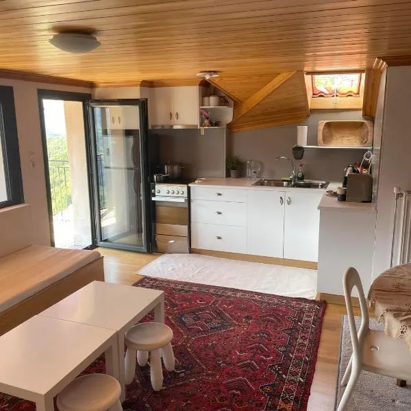 Kostis Central Loft, hotel in Metsovo
