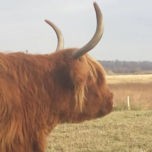 The old farm, hotel din Balintore
