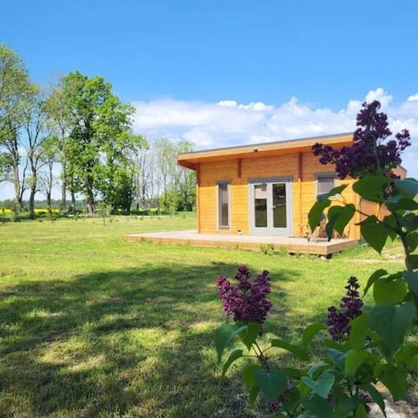 Cottage in Nature, free sauna, free breakfast, hotel a Lielkangari