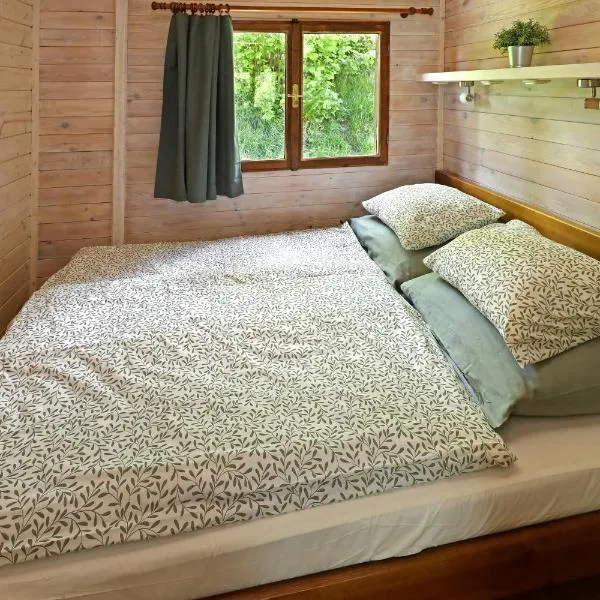 Lipno Lodge, hotel v destinaci Horní Planá