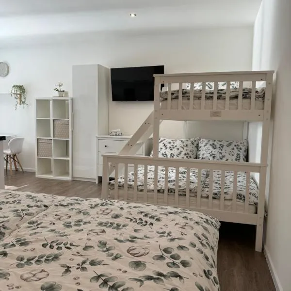 RK Apartment #4, hotel v destinaci Brno