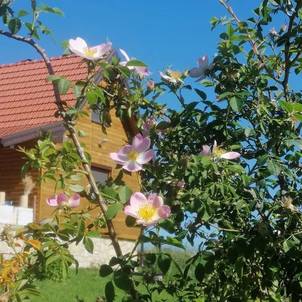 Tarin zov, hotel v destinaci Kaludjerske Bare