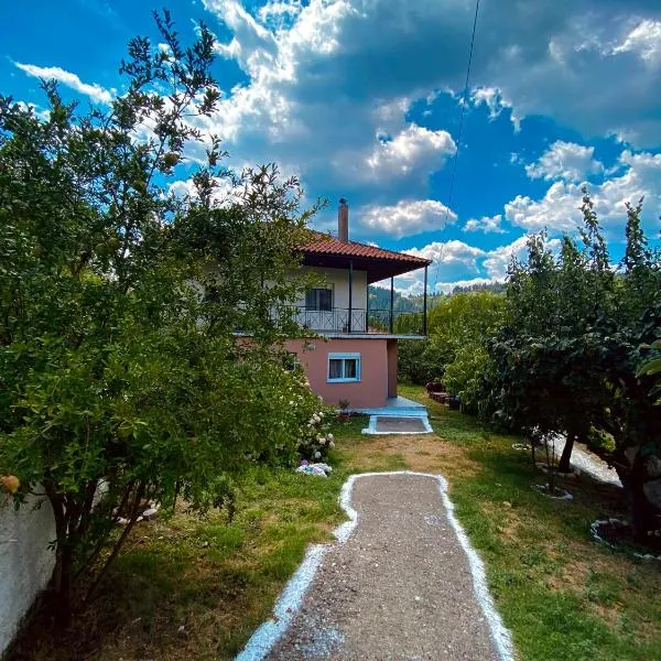 Σπίτι στα Έλατα, hotel Palaiochórion városában