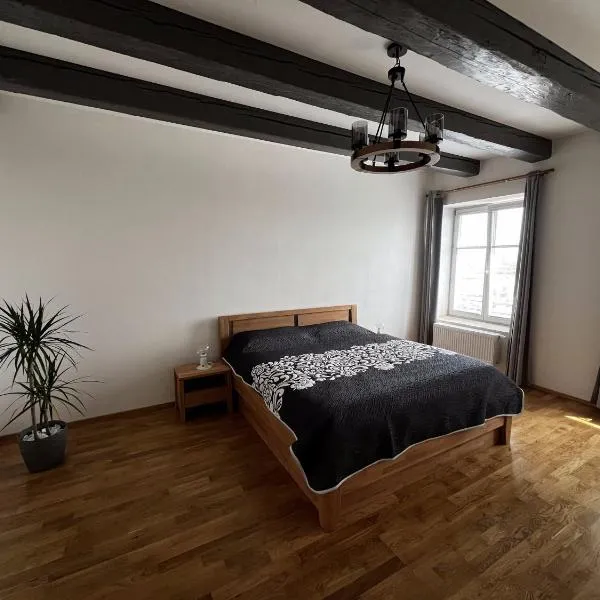 Rezidence u Vaňkovky, hotel in Brno