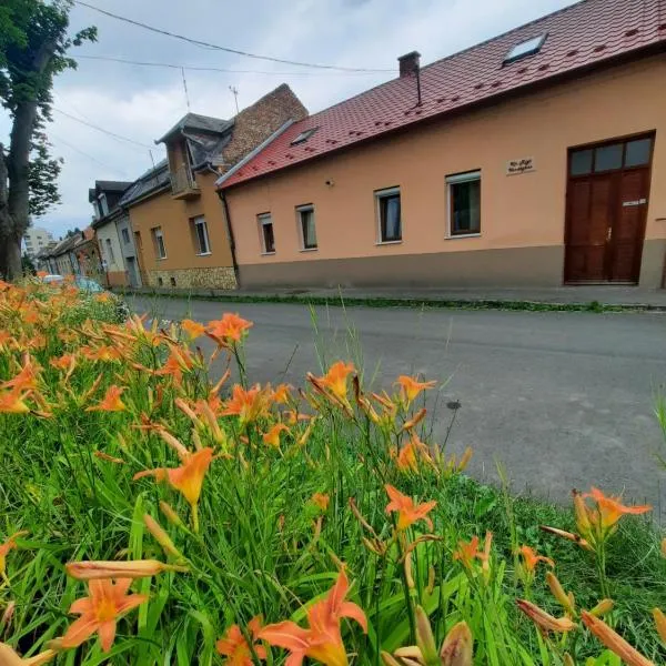 Kis Rigó vendégház, hotel v destinácii Salgótarján