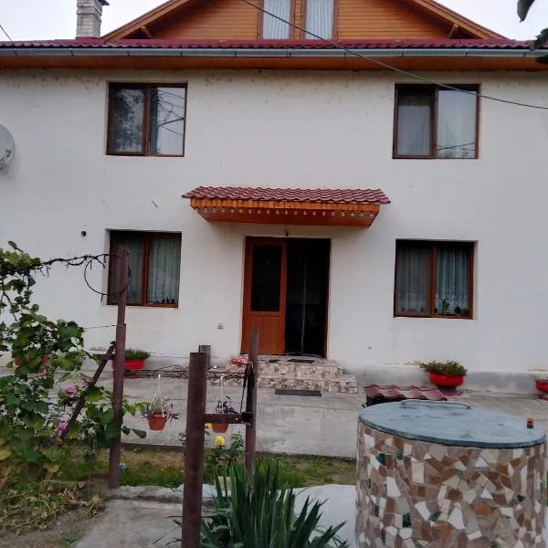 Casa Szabo, hotel in Vaţa de Jos