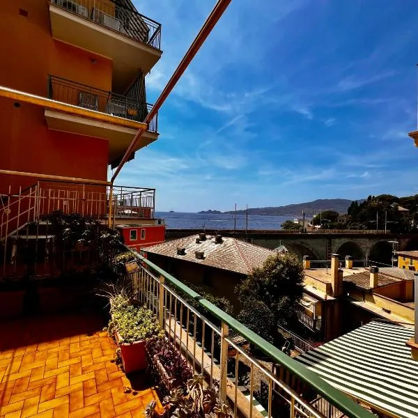 Pitosforo, hotel Zoagliban