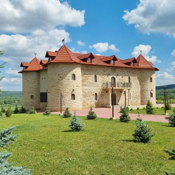 Castel Unghern, hotel v destinaci Ivancea