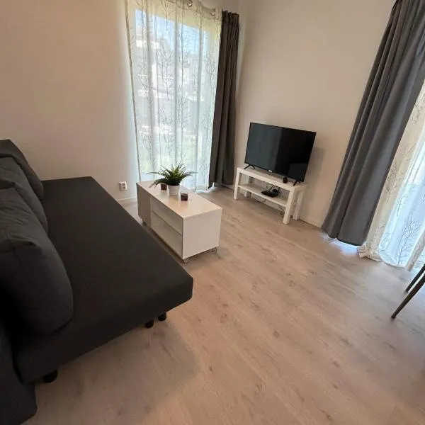 Lisas apartment, private new 1 bedroom and 1 living room with sofa bed and big windows, share with nobody, hotel v Oslu