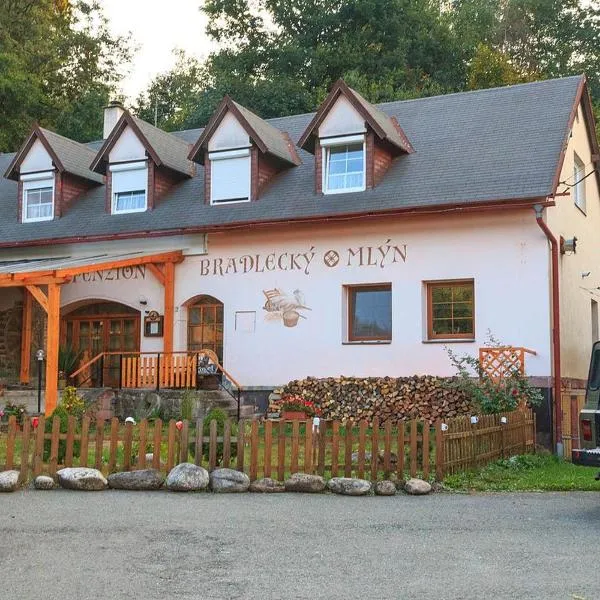 Penzion Bradlecký mlýn, hotel v destinaci Bradlecká Lhota
