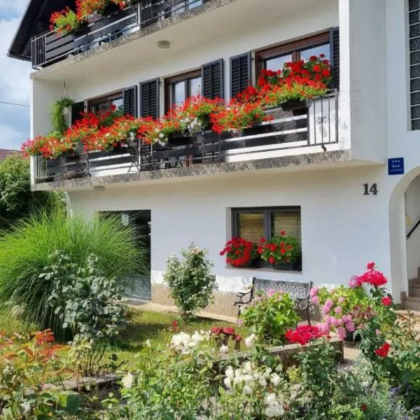 Apartman Bosco, hotel v destinácii Ravna Gora