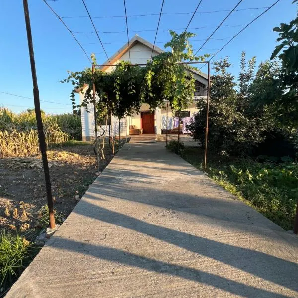 Villa Vucaj, hotel v destinaci Shkodër