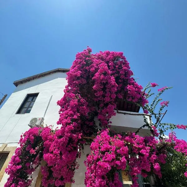 Burcu Guest Home, hotel v destinaci Çağlayan