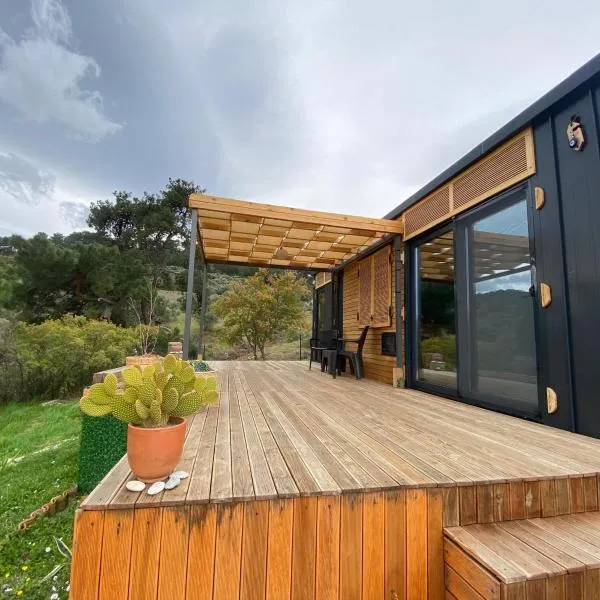 Gurmefes Tiny House, hotel in Selcuk