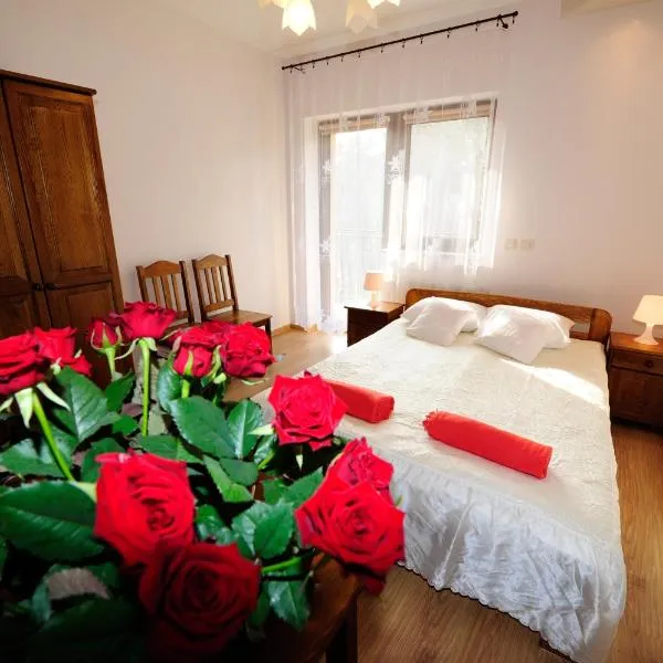 Willa Julia, hotel in Kraków