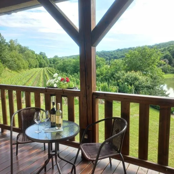 Penzion Ve Vinohradě, hotel em Němčičky