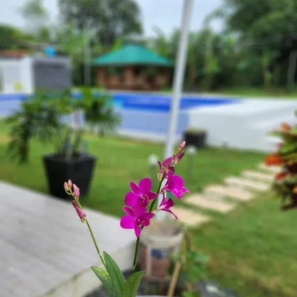 Benido Farm - A Secret Haven, ξενοδοχείο σε San Jose