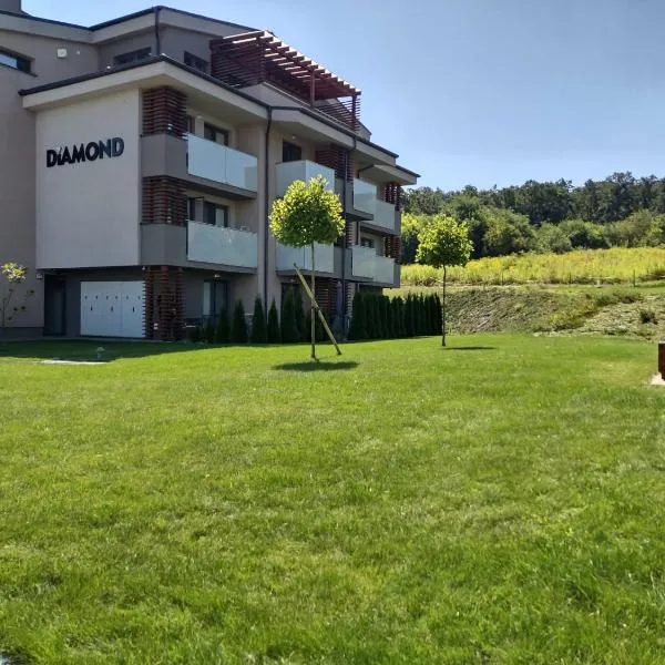 Apartman Kyjev 2, hotel Bellegszencsén
