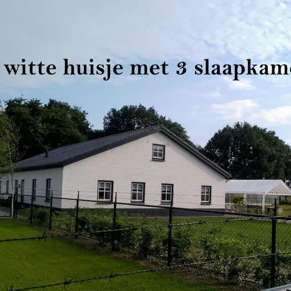 Ut witte huisje, hotel v destinaci Venhorst