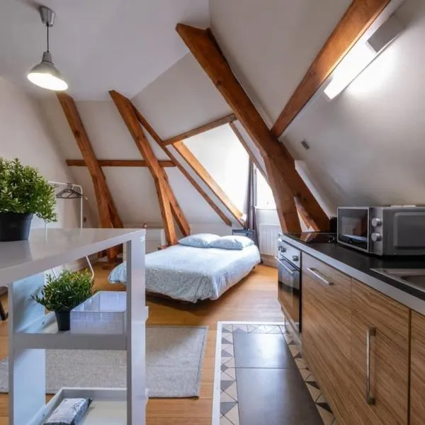 Saint -Louis 3 -centre ville-studette, hotel in Gien