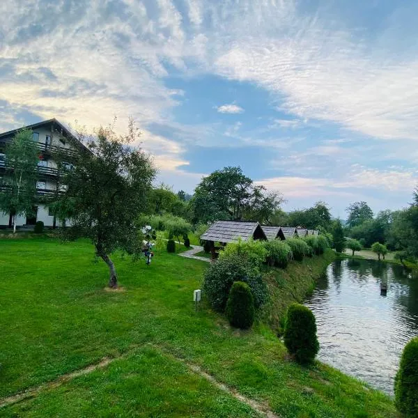 PASTRAVARIA ALINA, hotel di Sîrbi