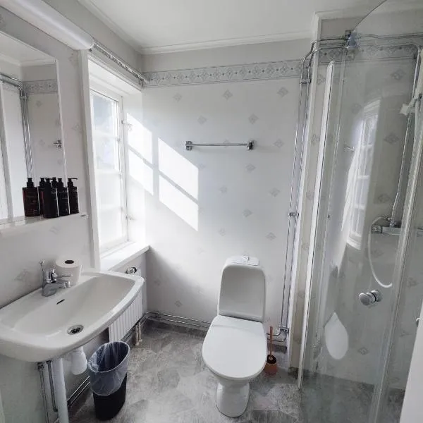 Brunnsvik Hotell & Konferens、ルドビーカのホテル