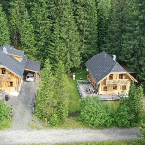 Almhaus & Almchalet Flattnitz, hotel v destinaci Flattnitz