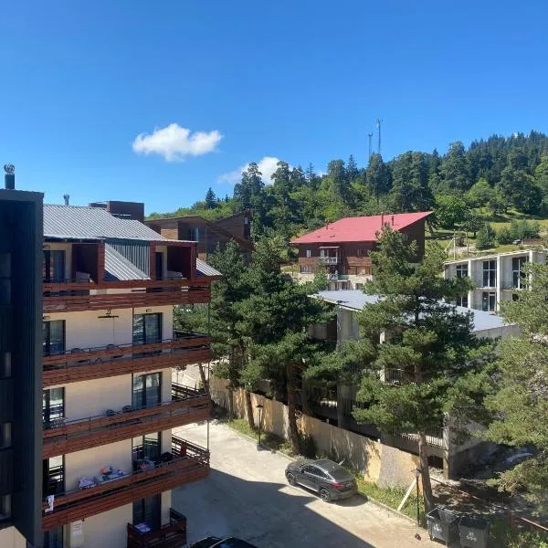 Bakuriani inn Apartment, hotel din Bakuriani