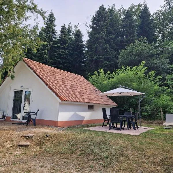 Mon chalet en Ariège avec piscine, hotel in Daumazan-sur-Arize