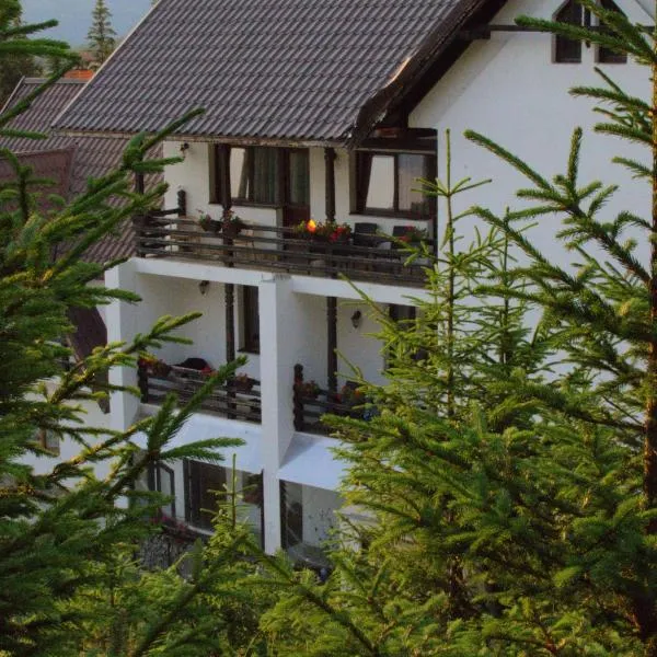 Cetina, hotel i Rânca