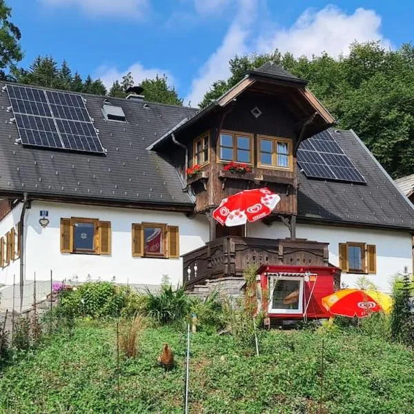 Ferienhaus Beringer am Kallbach, hotel v destinaci Traunkirchen