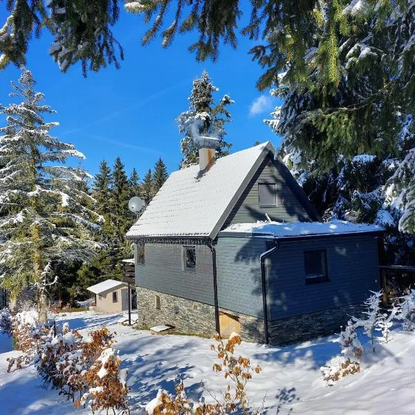 Chata 100 Český Jiřetín, hotel i Český Jiřetín
