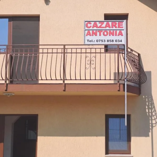 Cazare Antonia, hotel in Curtea de Argeş