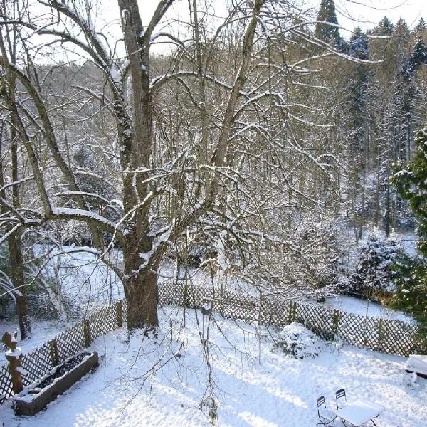 Burghof Wallhausen, hotel a Costanza