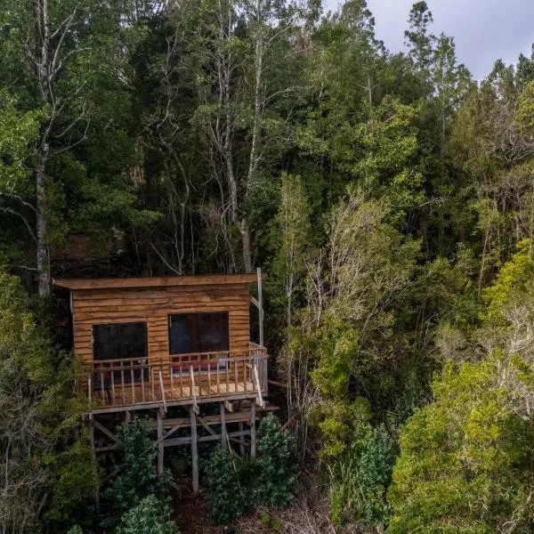 Refugio de montaña con vista al mar、Curiñancoのホテル