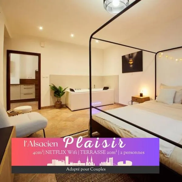 L'Alsacien Plaisir- Balnéo-Wifi-Netflix, hotel in Mulhouse