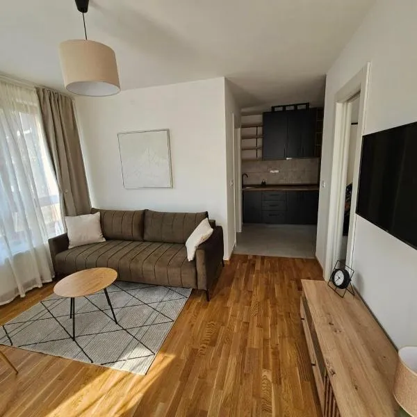 Apartman Crni Vrh - DivčiNova、セルビアディヴツィバレのホテル