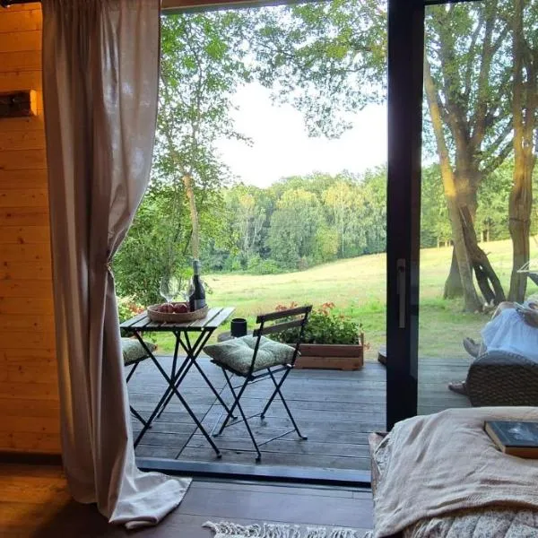 Tiny house - Schoulenka pod mirabelkami，Chlumec的飯店
