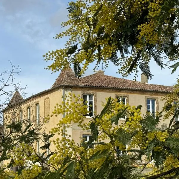 Chambre d'hôte dans le Château de Mauhic – hotel w mieście Loubédat