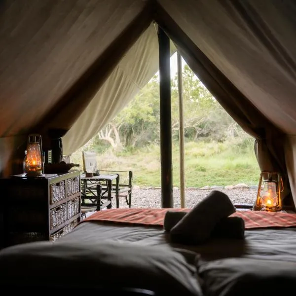 Quatermain's 1920's Safari Camp – Amakhala Game Reserve, hotel v destinaci Amakhala Game Reserve