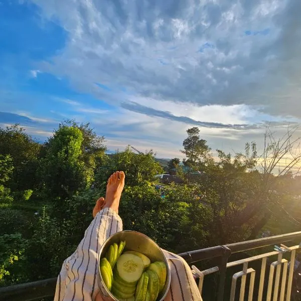 Dadi Homestay 360 Mountain View, hotel v destinaci Bir