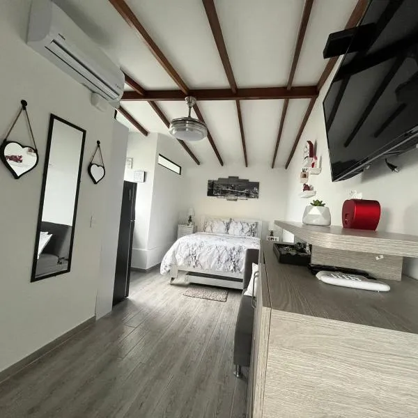 Modern apartment/Studio, hotel en Pereira