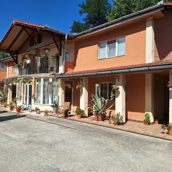 Casa Geo & Oana, hotel en Băile Herculane