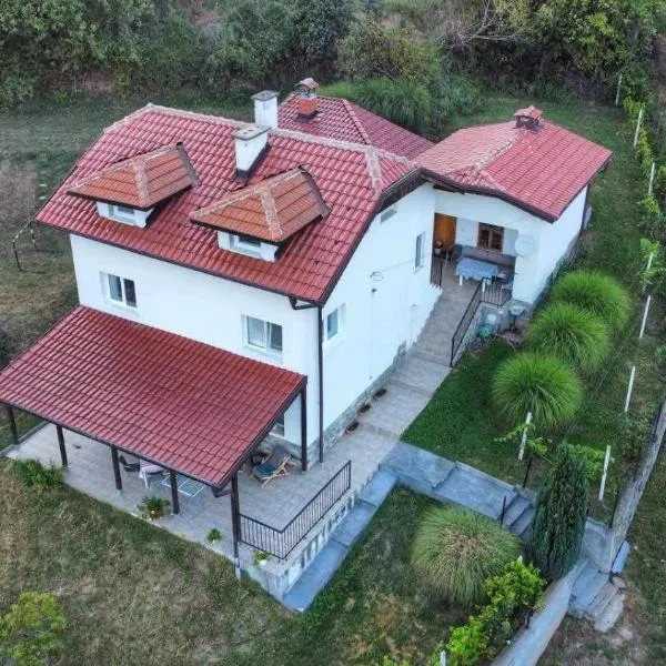 Бялата къща в Слатина, hotel en Slatina