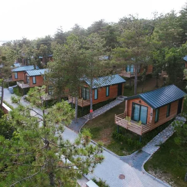 Nefes Dağyenice Doğada, hotel v destinaci Bursa