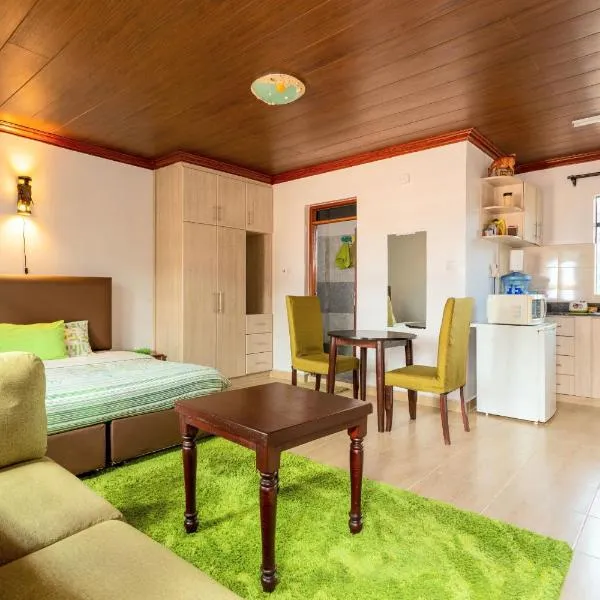 Spacious Penthouse Rooftop Studio with King bed, Hotel in Nairobi