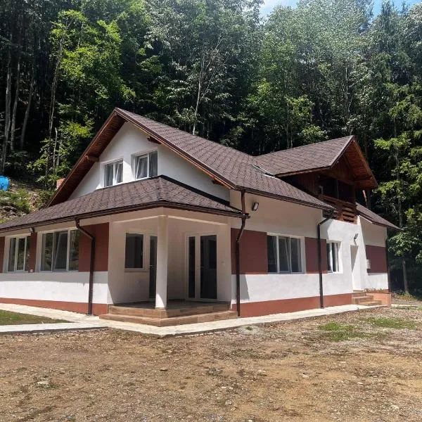 Cabana Cascada Lotrisor, hotel in Călimăneşti