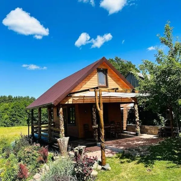Sowi domek, hotel v destinácii Płaska